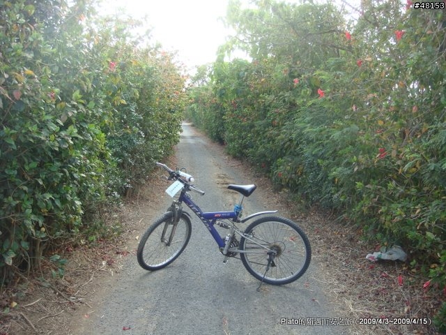 16吋6速折疊腳踏車環島旅行遊記 (威寶小折)
