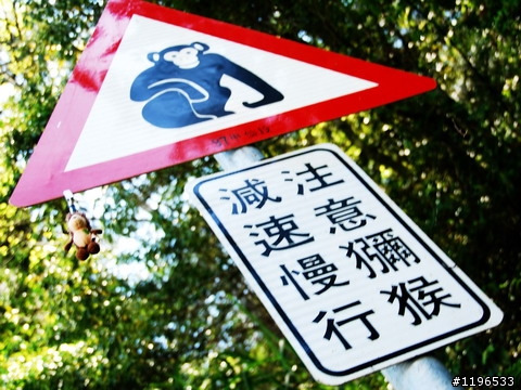橫掠西東直墜桃源-小摺南橫之旅