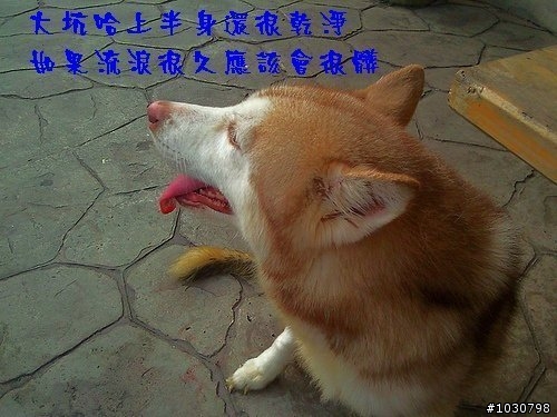 台中的車友幫幫忙(緊急)_ 大坑斷腿哈哈等待救援 (轉貼自台灣緊急救援網)