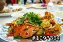 5/24(日)【山海之戀】第59次約騎