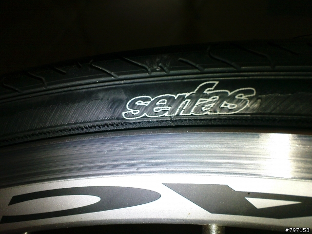 請教使用seca rs 700x23輪胎的朋友