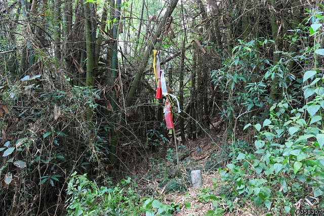 三地門:小百岳~尾寮山