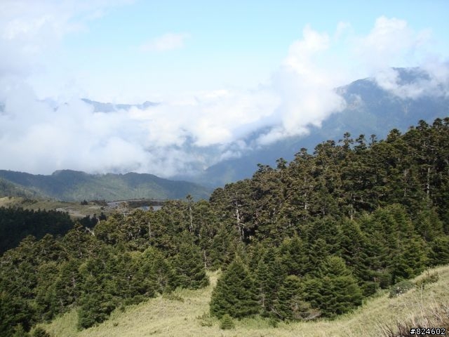 高山一豎之旅(上) 決戰武嶺之巔 - 鐵馬家庭南北大會師