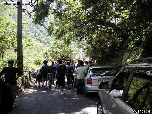 黑白配 ~ 羅馬公路+拉拉山 ~