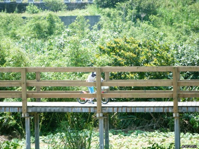 萬里金山鐵馬行