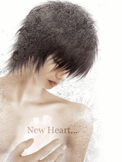 {240*320} New Heart(完工)