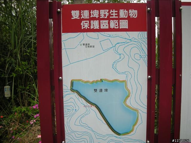 西坑林道越嶺阿玉山出雙連埤