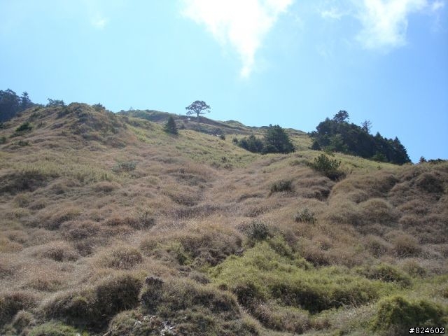 高山一豎之旅(上) 決戰武嶺之巔 - 鐵馬家庭南北大會師