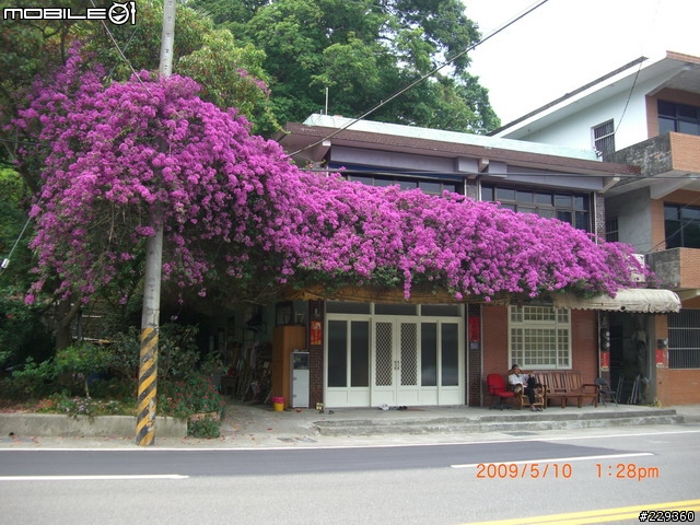 〔 遊記 ﹞大漢溪單車道右去左回石門壩頂O型閉鎖曲線一日遊
