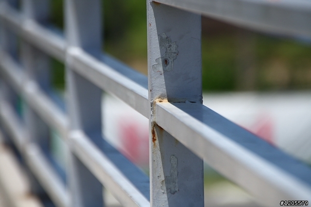 方便+快速,旅遊鏡新選擇 x Sigma 18-250mm F3.5-6.3 DC OS HSM