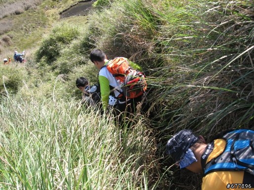 戀上珍珠的美 - 四季、嘉平林道、加羅湖