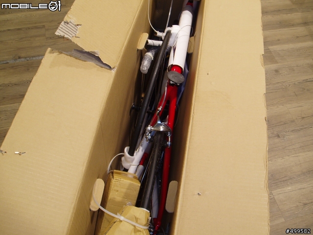【分享】2009 Fuji 外銷版 NEWEST 1.0 54cm 開箱