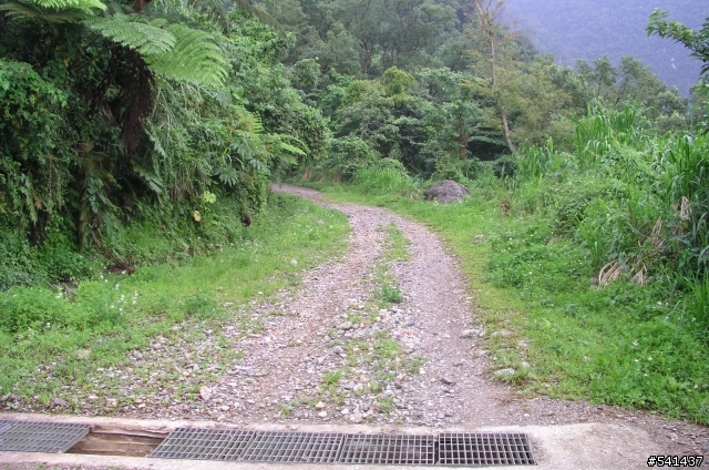 J.P及MOSSO小白之花蓮地獄路線II 距花蓮市不到10KM之 佐昌步道 公路車請山下等!!