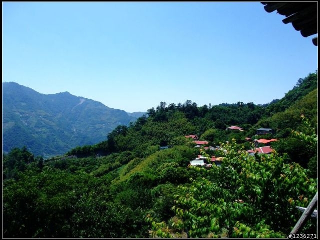 探訪祕境 司馬庫斯