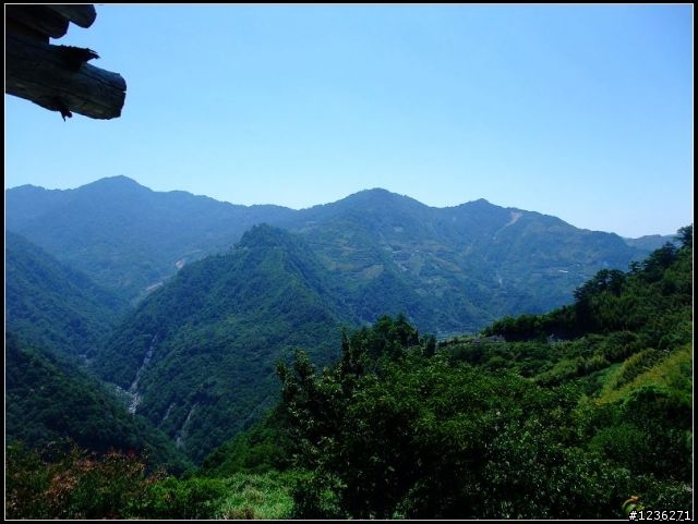 探訪祕境 司馬庫斯