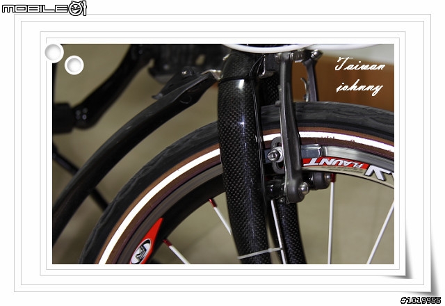 宅男純手工打造~史上最牛的DAHON-SP8.Carbon單車