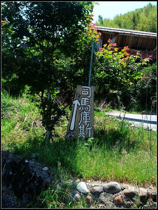 探訪祕境 司馬庫斯