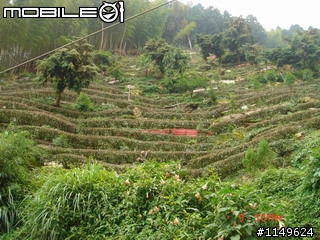 【分享】20090609杉林溪