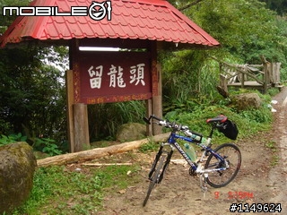 【分享】20090609杉林溪