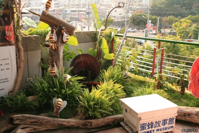 大坑~紙箱王~