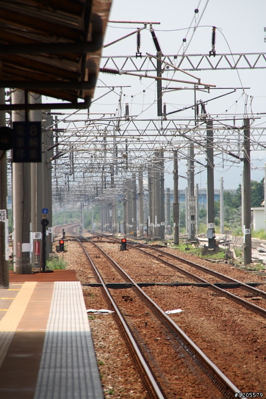 方便+快速,旅遊鏡新選擇 x Sigma 18-250mm F3.5-6.3 DC OS HSM