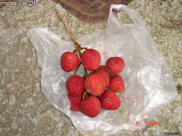 【分享】20090609杉林溪