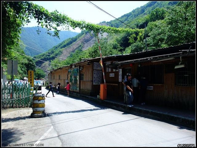 探訪祕境 司馬庫斯