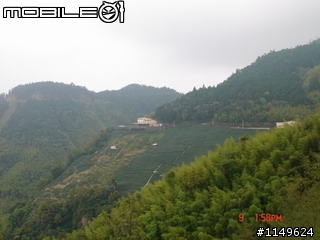 【分享】20090609杉林溪
