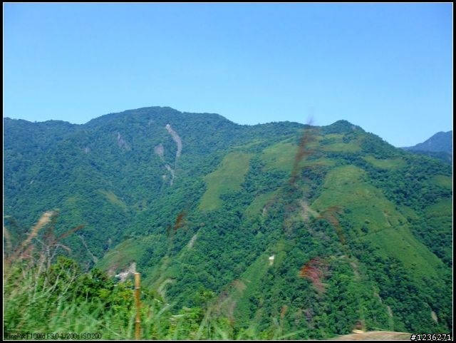 探訪祕境 司馬庫斯