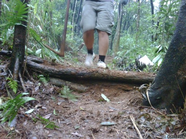 更新!! 北投幫幫忙090614新闢林道紀實
