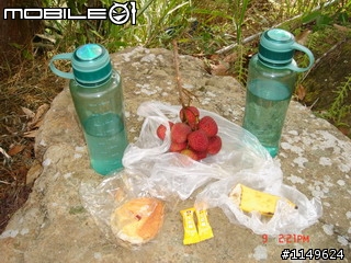 【分享】20090609杉林溪