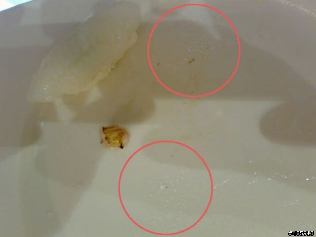 sushi 日式料理
