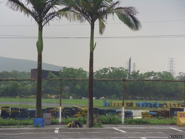 暑假前最後的長跑....東眼山+羅馬公路雨跑行(36P)