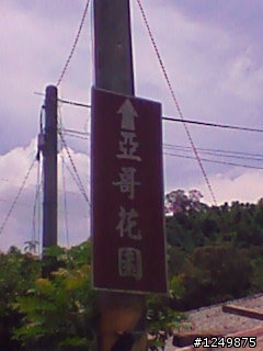 遙想當年,景色依舊,人事已非
