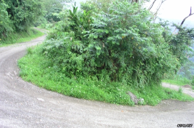 J.P及MOSSO小白之花蓮地獄路線II 距花蓮市不到10KM之 佐昌步道 公路車請山下等!!