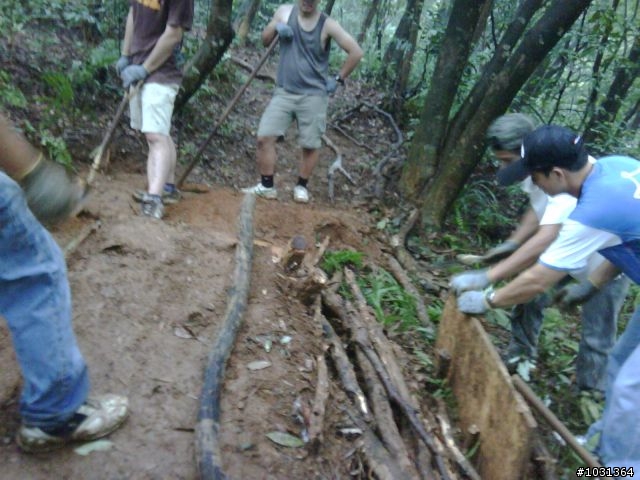 更新!! 北投幫幫忙090614新闢林道紀實