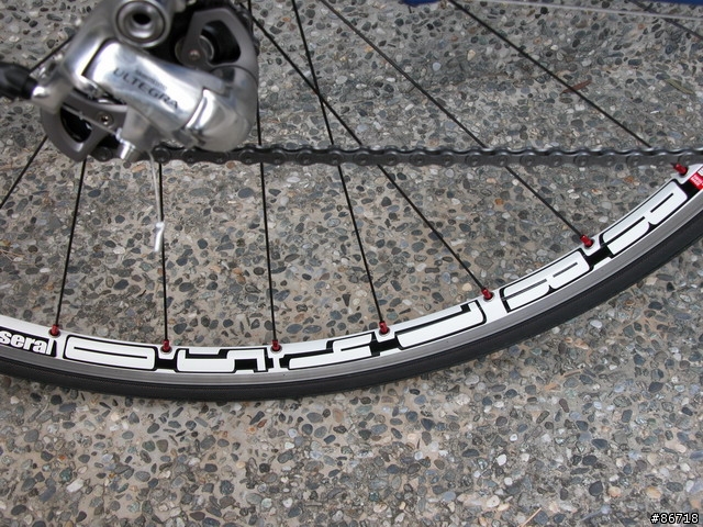 Trek madone 4.5 開箱文