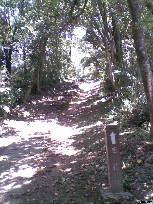 【週日約騎】6/28 輕林道 offroad 初體驗 by 小讚