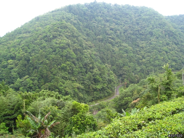 台北-坪林(北42)闊瀨-雙溪-平溪(106)台北