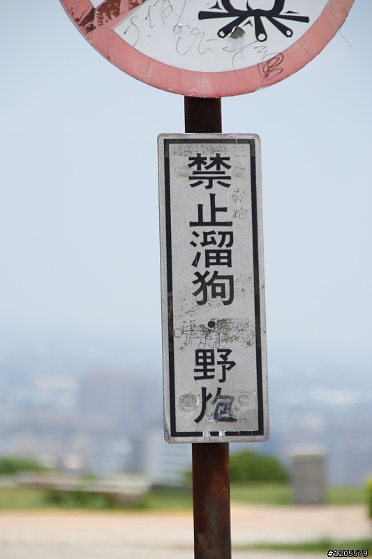 方便+快速,旅遊鏡新選擇 x Sigma 18-250mm F3.5-6.3 DC OS HSM