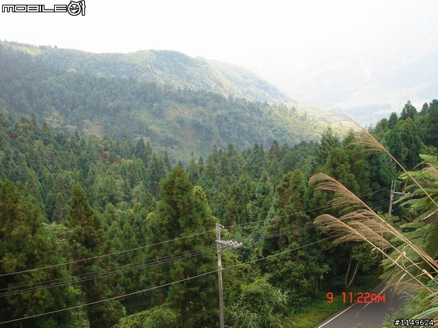 【分享】20090609杉林溪