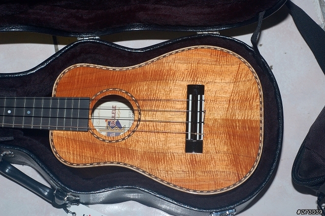 kamaka ukulele ! 烏克麗麗開箱 !