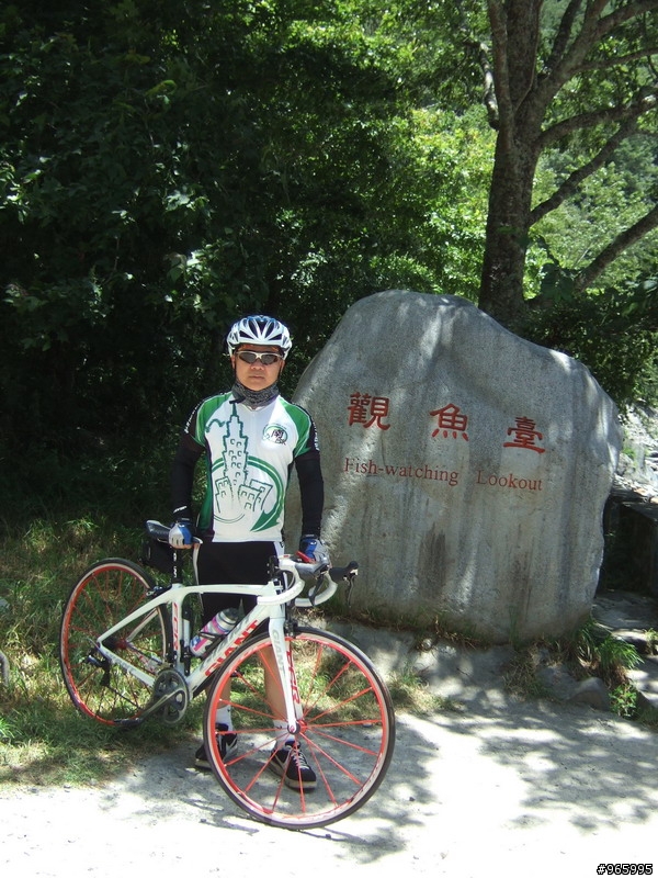 武陵農場遊記...探路失敗