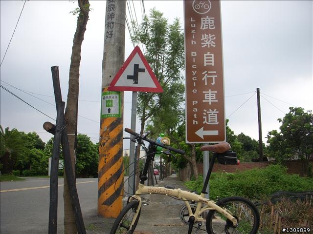 嘉義竹崎鄉:滿竹,鹿紫自行車道 (鄉間小路照片多)