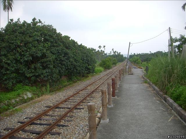 嘉義竹崎鄉:滿竹,鹿紫自行車道 (鄉間小路照片多)