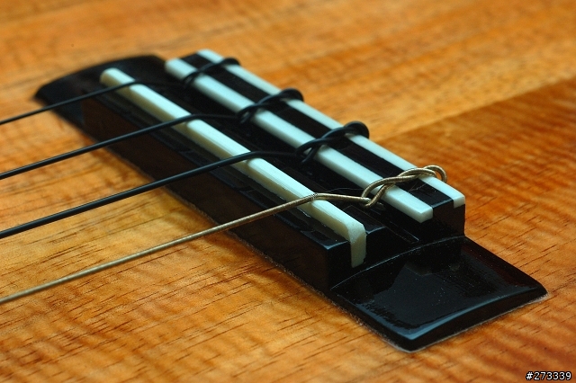 kamaka ukulele ! 烏克麗麗開箱 !