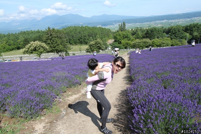 嬰兒拖車的無限可能—北海道の夏日薰風