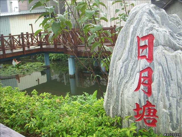 嘉義竹崎鄉:滿竹,鹿紫自行車道 (鄉間小路照片多)