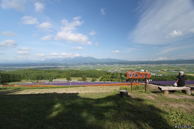嬰兒拖車的無限可能—北海道の夏日薰風