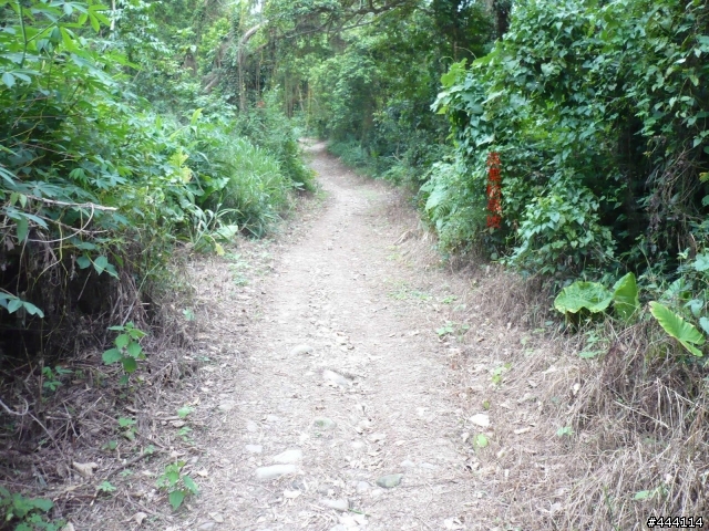 登山車之天堂路 彰化 社頭 ==> 南投 橫山 南投坑 產業道路